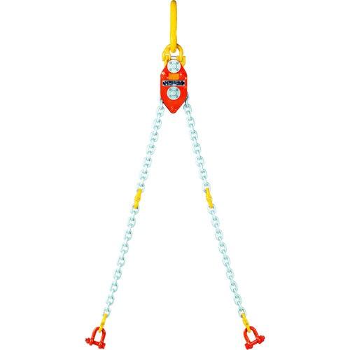 象印 チェーンエコライザー6ton CE-06000 期間限定 ポイント10倍