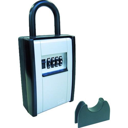 アバス社 ABUS カードとカギの預かり箱 DS-KB-2 期間限定 ポイント10倍