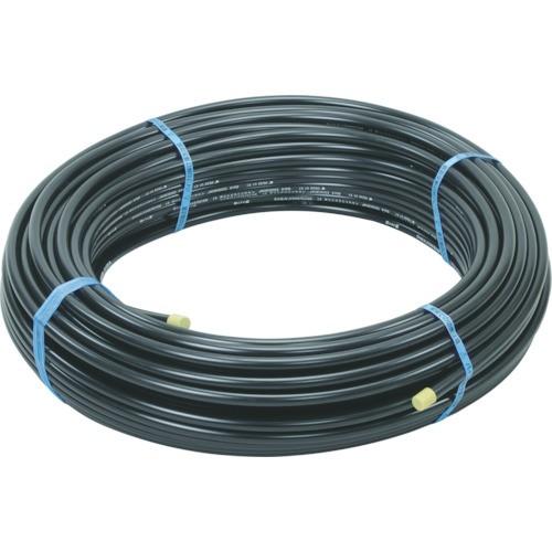 クボタケミックス ポリニクス2層管 20X30M PE2-20X30M 期間限定 ポイント10倍