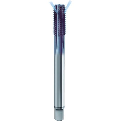 ブランド登録なし - グーリングジャパン GUHRING TiAlN超硬 転造飲み口 並目 M16.0X2.0 4447-M16.0X2.0 継続期間押さえる 尖んがり10倍