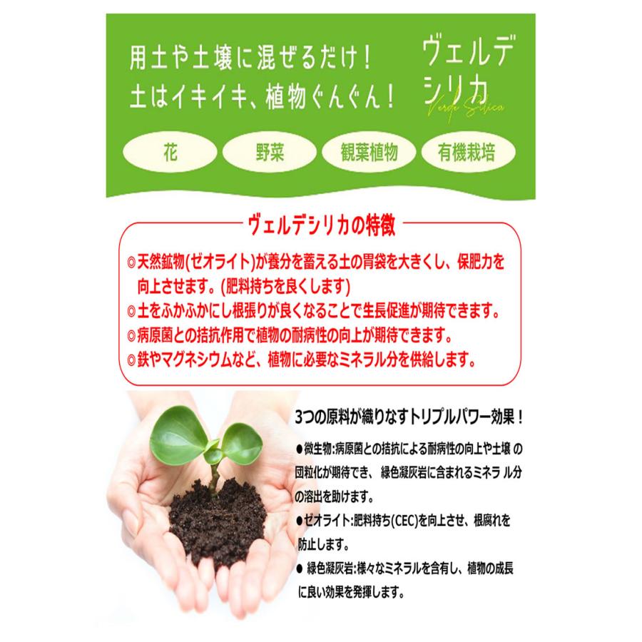 （P3倍）（クーポンで1000円OFF）土壌改良材 ヴェルデシリカ 1kg×20袋セット_3