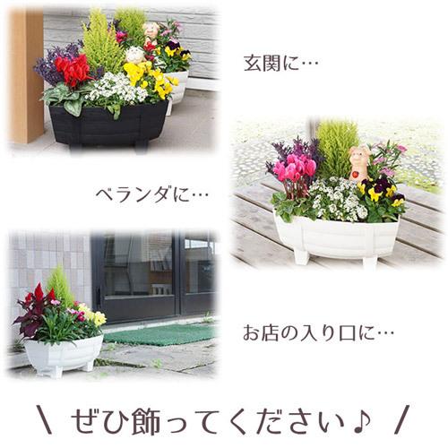 季節の花 寄せ植え タル型 黒 白 花苗6ポット 1187 : 買援隊ヤフー店