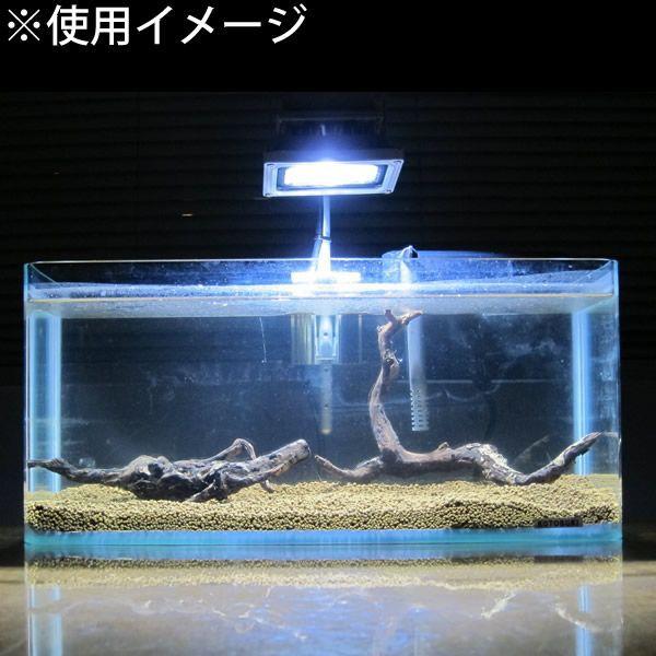 水槽用 Led照明ランプ 10w スイッチ付き 水草 熱帯魚 海水魚飼育に最適 k 水槽用 Ledランプ Ledライト Aq kn Diyとか本舗 通販 Yahoo ショッピング