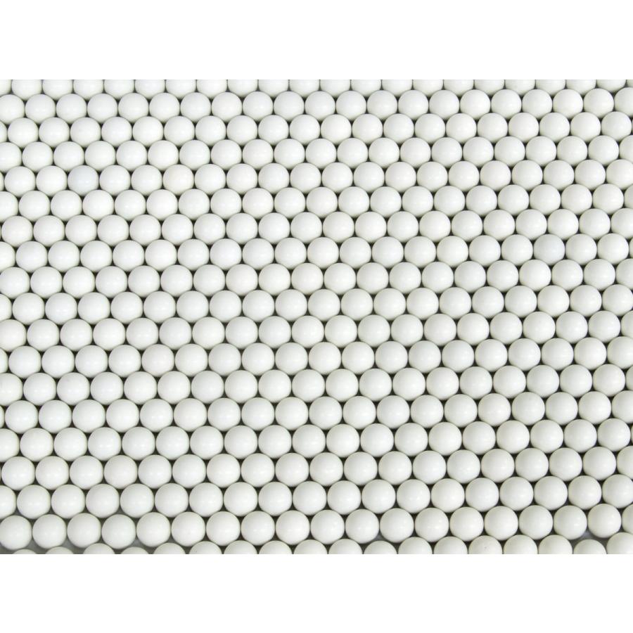 バイオBB弾 富士倉 バイオBB弾 0.25g 約4000発 ベアリング研磨加工 高精度