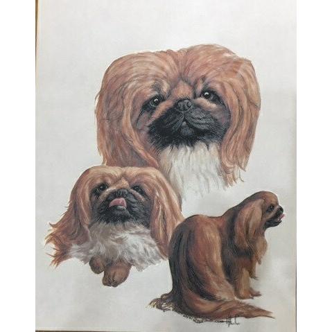 ペキニーズ カレッジ 傘 65cm 直径110cm レディース メンズ 男女兼用 雨傘 かわいい おしゃれ 梅雨 レイングッズ Uvカット 風に強い 耐風 犬柄 いぬ 犬グッズ 犬と動物 トラストワンポイント 通販 Yahoo ショッピング