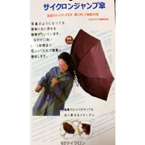 ビーグル （集合2) ビーグルグッズ 傘 65cm 直径110cm レディース メンズ 男女兼用 雨傘 かわいい おしゃれ 梅雨 レイングッズ UVカット 風に強い 耐風 犬柄｜trust-wanpoint｜12