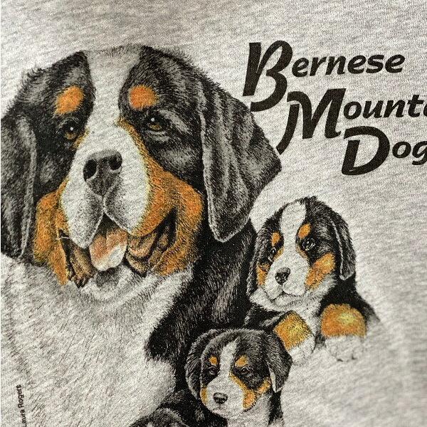 バーニーズマウンテンドッグ スウェット フルジップパーカー (集合R