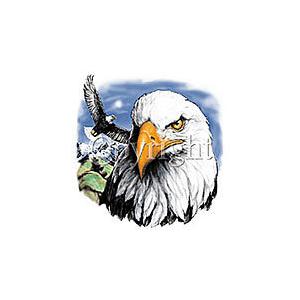鳥 イーグル eagle 白頭鷲 鷲 １７−D 猛禽類 公式の トートバッグ エコバッグ おしゃれ 動物 キャンバス メンズ 男女兼用 マイバッグかわいい 大きめ a4 レディース 限定特価
