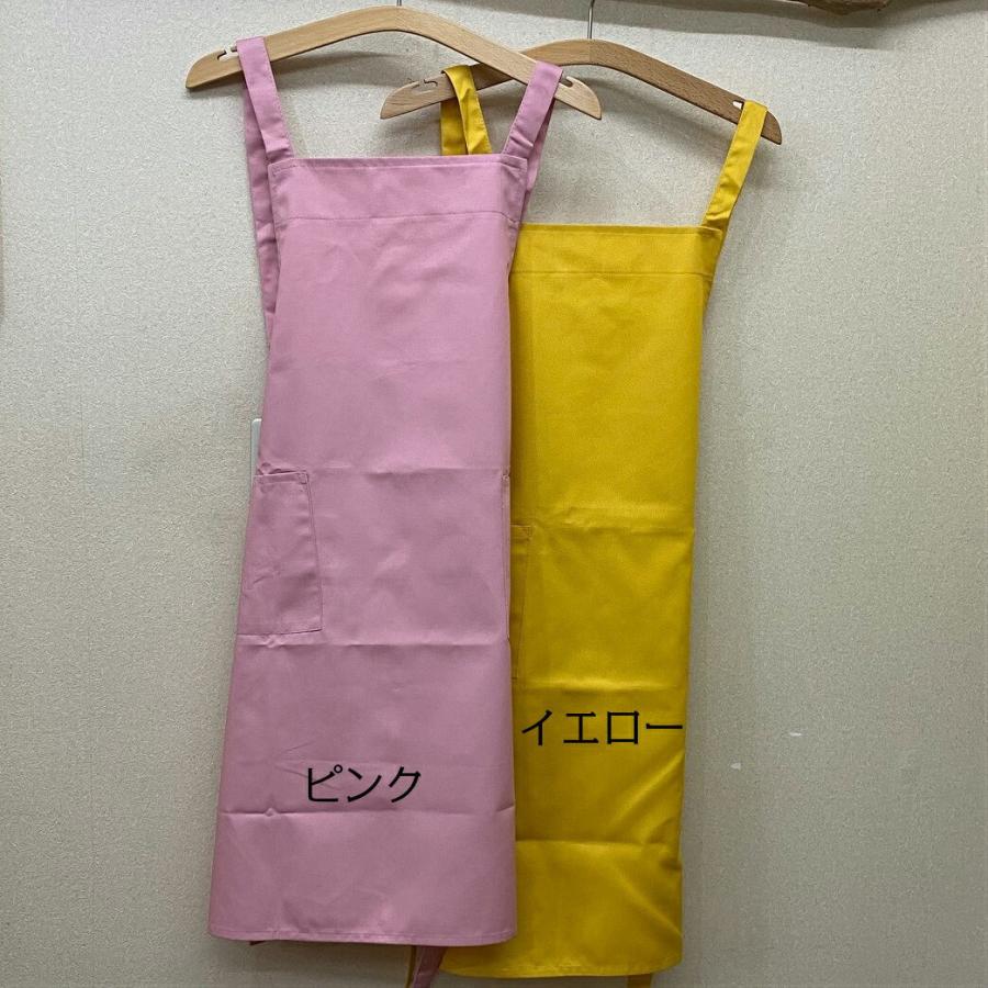 鳥 小鳥 インコ カラー エプロン（No.5）鳥 トリ バード バッククロス