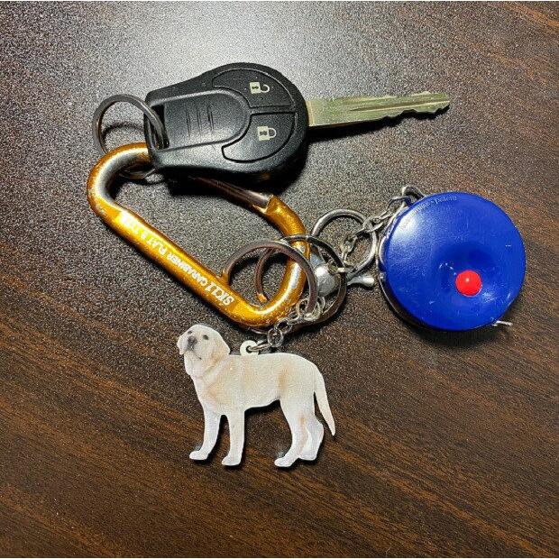 キーホルダー シベリアンハスキー ハスキーグッズ アクリル 犬 いぬ