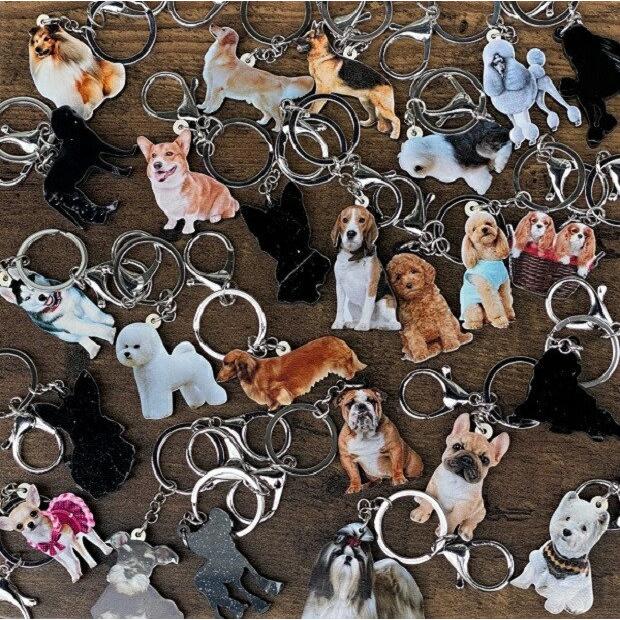 犬雑貨・オーナーズグッズ erina シャーペイ キーホルダー シャーペイグッズ アクリル 犬 いぬ