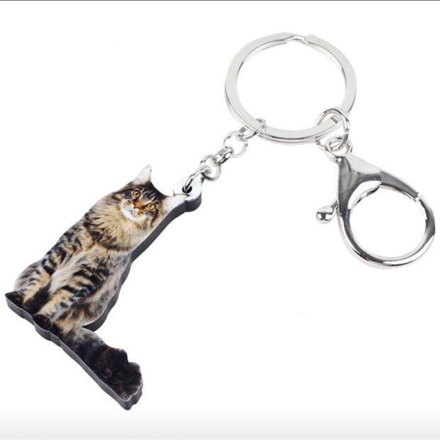 Cater-pillar メインクーン ネコ 猫 ねこ キャット cat