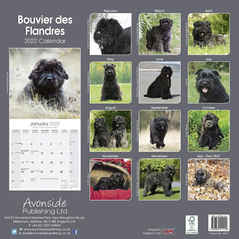 ブービエデフランダースカレンダー 22年 令和4年 動物 犬種カレンダー 犬 ドッグ 壁掛け 月めくり 輸入 かわいい 中綴じ Avonside 22a 犬と動物 トラストワンポイント 通販 Yahoo ショッピング