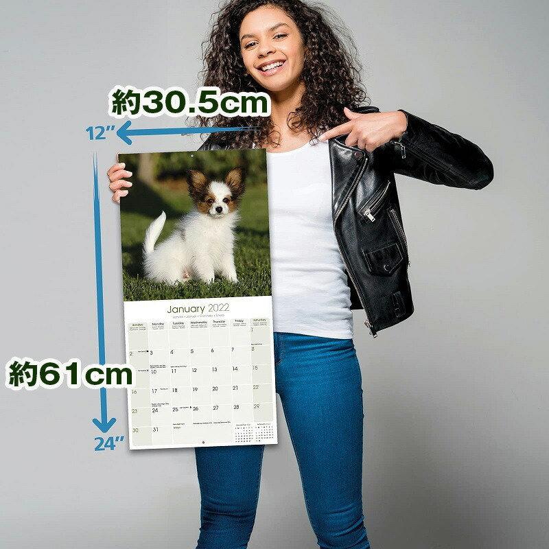 ブービエデフランダースカレンダー 22年 令和4年 動物 犬種カレンダー 犬 ドッグ 壁掛け 月めくり 輸入 かわいい 中綴じ Avonside 22a 犬と動物 トラストワンポイント 通販 Yahoo ショッピング