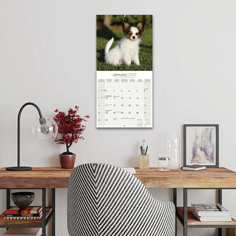ブービエデフランダースカレンダー 22年 令和4年 動物 犬種カレンダー 犬 ドッグ 壁掛け 月めくり 輸入 かわいい 中綴じ Avonside 22a 犬と動物 トラストワンポイント 通販 Yahoo ショッピング