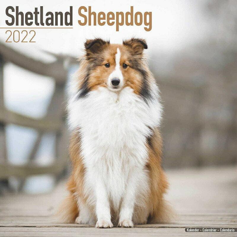 シェットランドシープドッグ シェルティーカレンダー 22年 令和4年 動物 犬種カレンダー 犬 ドッグ 壁掛け 月めくり 輸入 かわいい 中綴じ Avonside 22a 犬と動物 トラストワンポイント 通販 Yahoo ショッピング