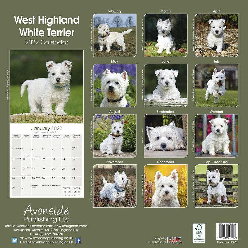 ウエストハイランドホワイトテリア ウエスティーカレンダー 22年 令和4年 動物 犬種カレンダー 犬 ドッグ 壁掛け 月めくり 輸入 かわいい 中綴じ Avonside 22a 犬と動物 トラストワンポイント 通販 Yahoo ショッピング