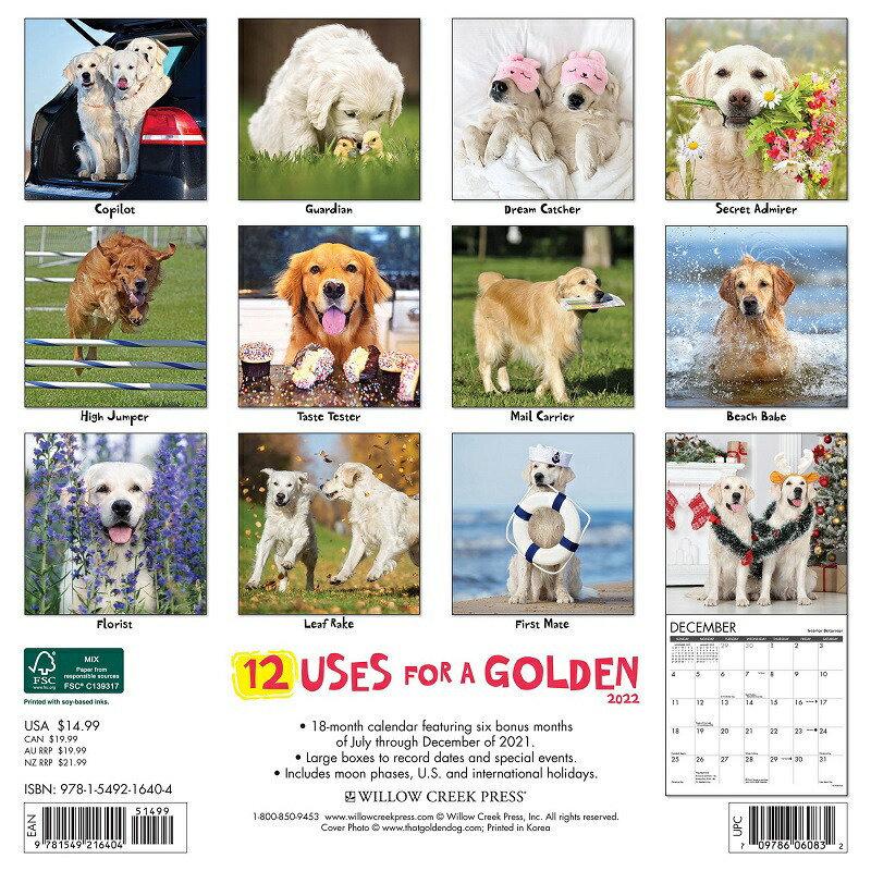 ゴールデンレトリバー No 2 カレンダー 22年 令和4年 動物 犬種カレンダー 犬 ドッグ 当店限定販売 中綴じ Press Willow Creek かわいい 月めくり 輸入 壁掛け