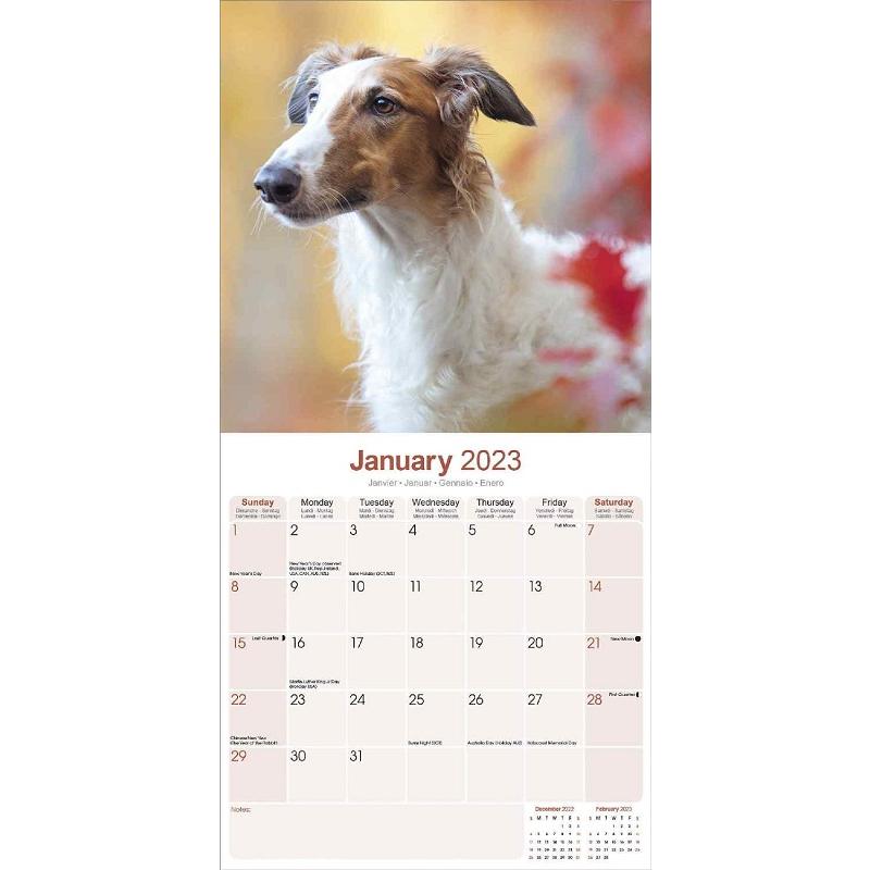 ボルゾイ レギュラーサイズ 壁掛け カレンダー 23年 令和5年 暦 動物 ペットカレンダー 犬種別カレンダー 犬 ドッグ Dog 23a 犬と動物 トラストワンポイント 通販 Yahoo ショッピング