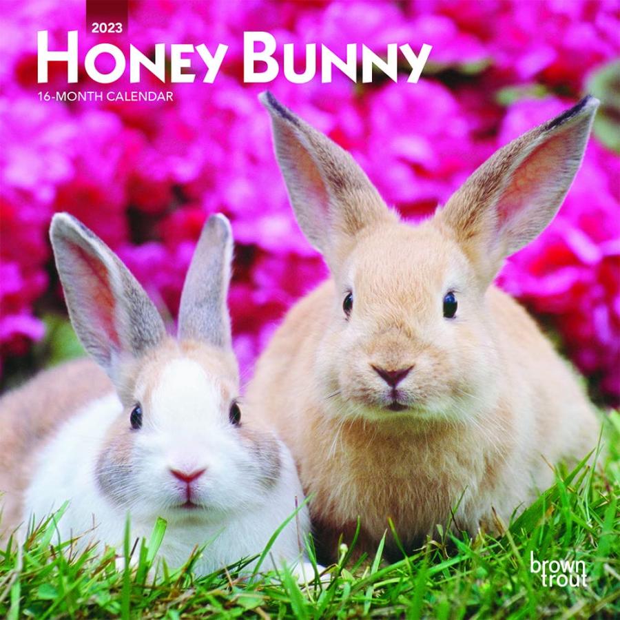 送料無料 子ウサギ ミニサイズ 壁掛け カレンダー 23年 令和5年 動物 暦 ウサギ 兎 バニー 小動物 ペット 動物 ペットカレンダー 23b 犬と動物 トラストワンポイント 通販 Yahoo ショッピング