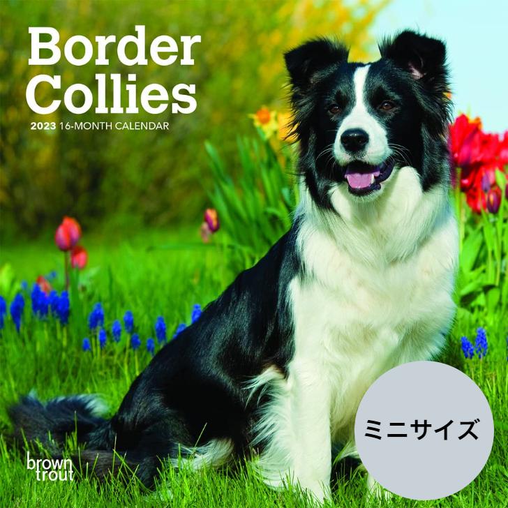 送料無料 ボーダーコリー ミニサイズ 壁掛け カレンダー 23年 令和5年 暦 犬 いぬ ドッグ Dog Dog 動物 ペット 月めくり 犬種 カレンダー 23b 犬と動物 トラストワンポイント 通販 Yahoo ショッピング