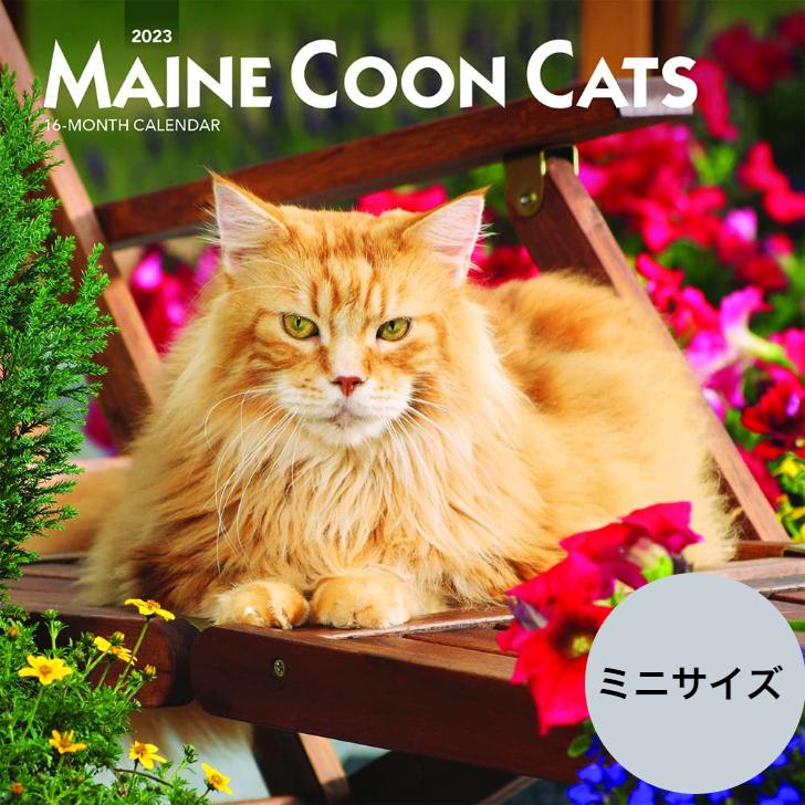送料無料 メインクーン ミニサイズ 壁掛け カレンダー 23年 令和5年 動物 暦 猫 ねこ ネコ Cat 動物 ペット 猫カレンダー 23b 犬と動物 トラストワンポイント 通販 Yahoo ショッピング