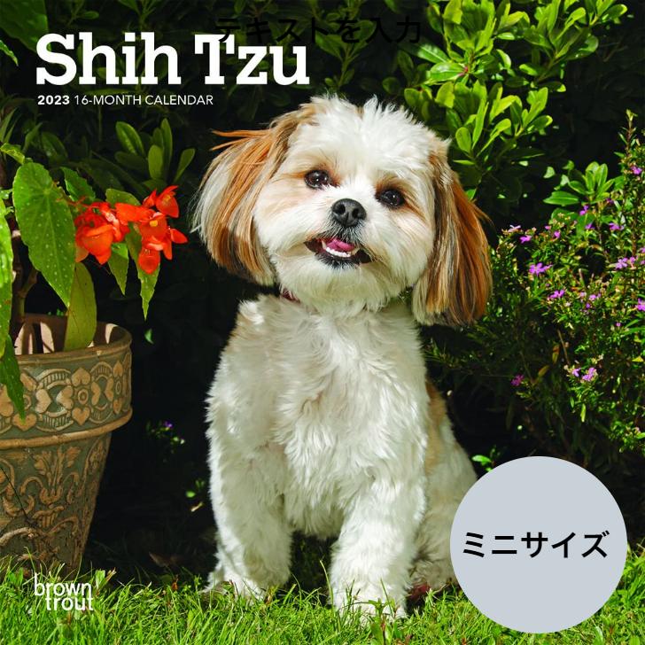 送料無料 シーズー ミニサイズ 壁掛け カレンダー 23年 令和5年 暦 犬 いぬ ドッグ Dog Dog 動物 ペット 月めくり 犬種カレンダー 23b 犬と動物 トラストワンポイント 通販 Yahoo ショッピング
