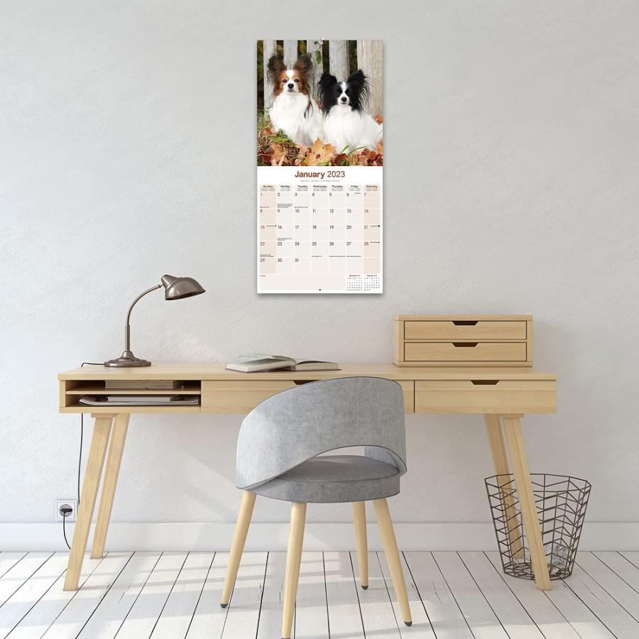 フリージアンホース 馬 レギュラーサイズ 壁掛け カレンダー 23年 令和5年 暦 ウマ うま ホース 動物 ペットカレンダー 23w 犬と動物 トラストワンポイント 通販 Yahoo ショッピング