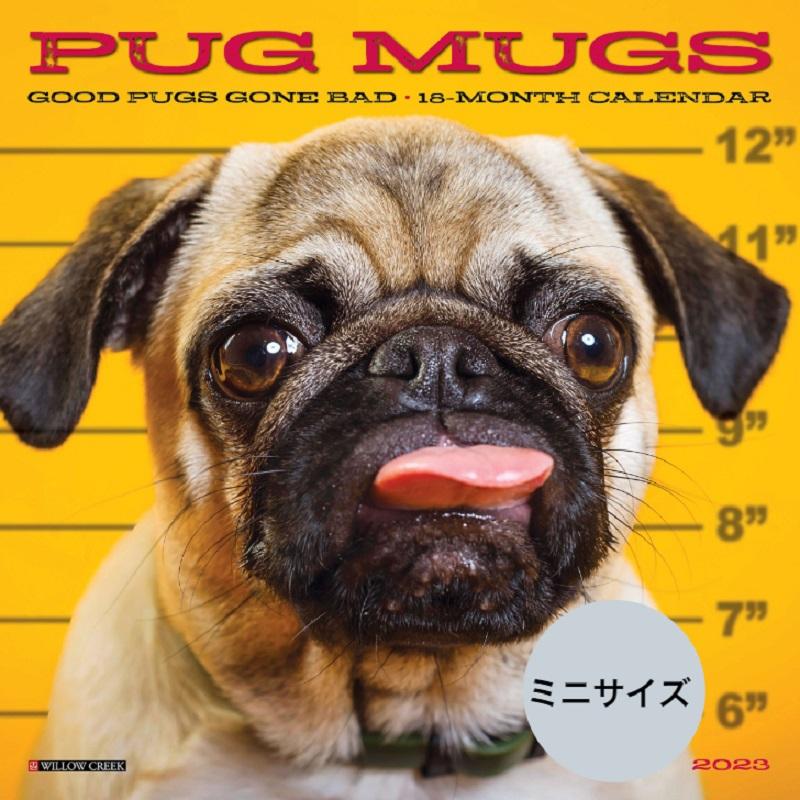送料無料 パグ ミニサイズ 壁掛け カレンダー 23年 令和5年 動物 暦 犬 いぬ ドッグ Dog Dog 動物 ペット 月めくり 犬種 カレンダー 23w 犬と動物 トラストワンポイント 通販 Yahoo ショッピング