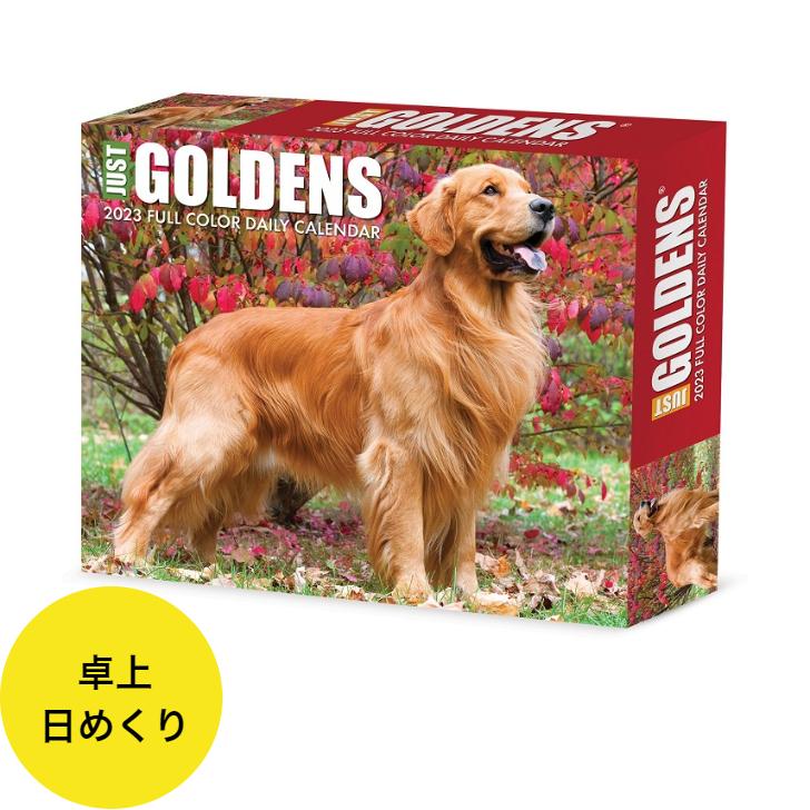 ヤマモトヨーコ トイレシリーズ ゴールデンレトリバー 壁掛け