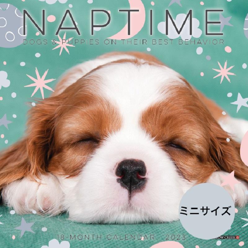 送料無料 昼寝の時間 ドッグ パピー ミニサイズ 壁掛け カレンダー犬 Dog ドッグ 23年 令和5年 暦 犬 いぬ 動物 ペット 月めくり 犬 種カレンダー 23w 犬と動物 トラストワンポイント 通販 Yahoo ショッピング