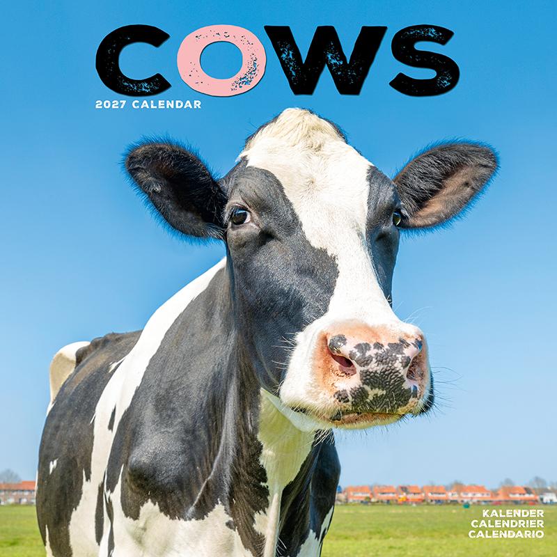 牛 カウ ウシ カレンダー 2027年 月めくり 壁掛け 令和9年 cow