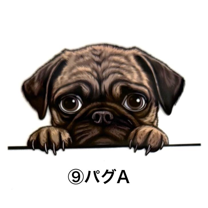 保冷ボトルカバーB 小型犬 : 犬と動物 トラストワンポイント