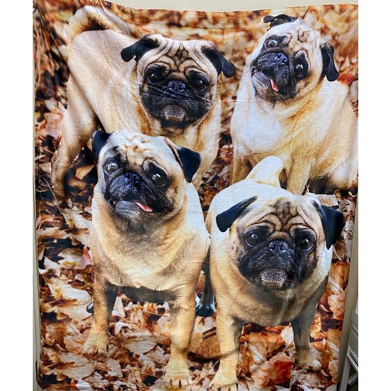 可愛いパグ毛布 犬柄ブランケットひざ掛け 夏かけ布団170x235cm PUG柄 楽天市場】A059355可愛い パグ毛布犬柄 ブランケット 防寒対策