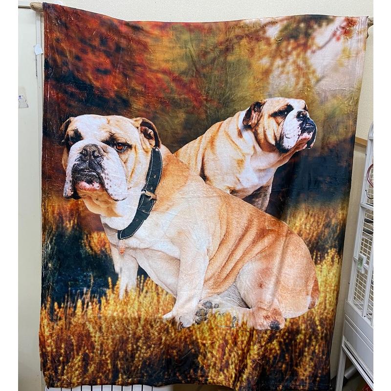 ブルドッグ ブランケット ひざ掛け 犬 dog DOG 大型犬 大判 暖かい