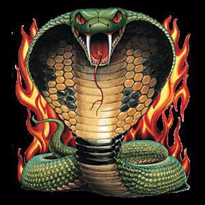 コブラ へび 蛇 ヘビ 爬虫類 カラー エプロン バッククロス X型 たすき掛け おしゃれ かわいい 保育士 ワークエプロン 料理教室 動物 オーナーグッズ プリント Cepoth 0 犬と動物 トラストワンポイント 通販 Yahoo ショッピング