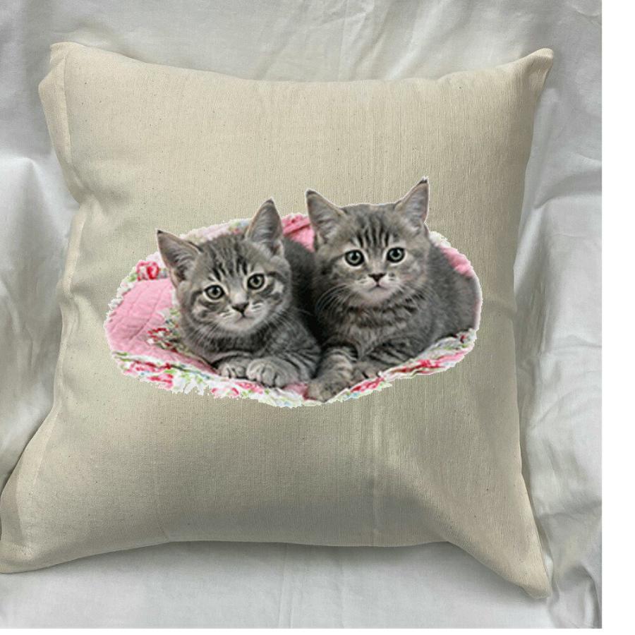 キャット Cat クッション New 50ｘ50cm 大きめ ビッグサイズ 洗える かわいい おしゃれ 猫柄 ねこ 猫プリント 雑貨 猫グッズ 動物 オーナーグッズ ギフト Cus W1 2130 犬と動物 トラストワンポイント 通販 Yahoo ショッピング