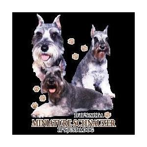 シュナウザー ミニチュアシュナウザー クッション New 50ｘ50cm 大きめ ビッグサイズ 洗える かわいい おしゃれ 犬柄 いぬ Dog ドッグ 犬プリント 雑貨 犬グッズ Cus Wb1 29 犬と動物 トラストワンポイント 通販 Yahoo ショッピング