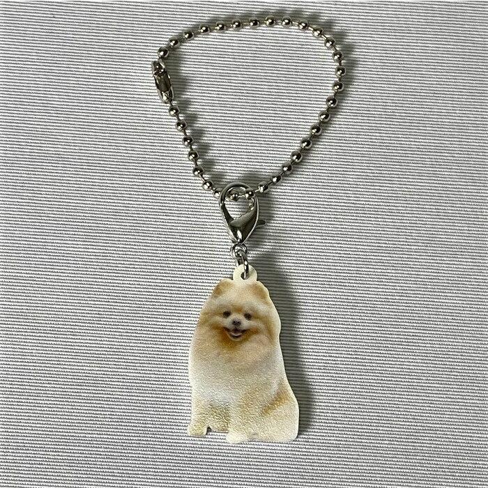ポメラニアンポメラニアングッズ バッグチェーン マスクチャーム アクリル 犬 いぬ イヌ Dog 犬種別 犬雑貨 オーナーグッズ かわいい 輸入 キーチェーン Key 2101 022 犬と動物 トラストワンポイント 通販 Yahoo ショッピング