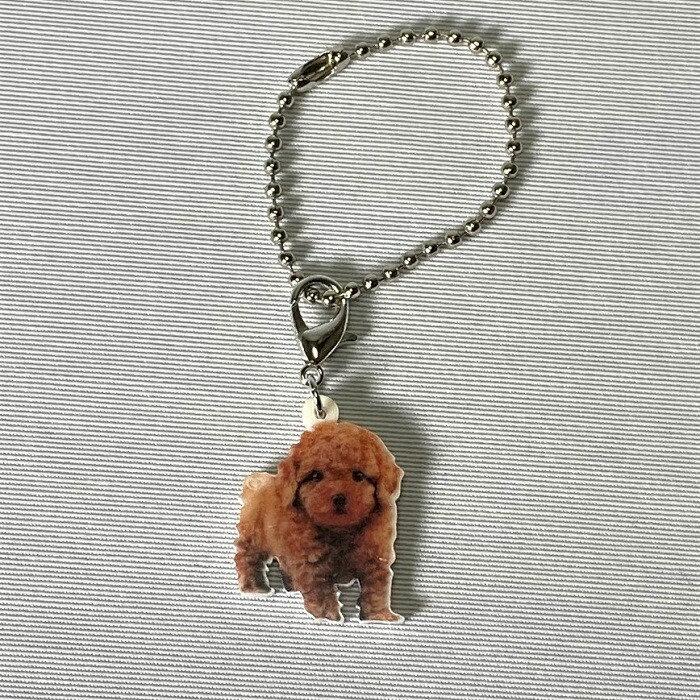 プードルアプリコット プードルグッズ バッグチェーン マスクチャーム アクリル 犬 いぬ イヌ Dog 犬種別 犬雑貨 オーナーグッズ かわいい 輸入 キーチェーン Key 2101 032 犬と動物 トラストワンポイント 通販 Yahoo ショッピング