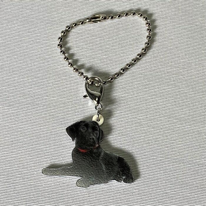 ラブラドールレトリバー ブラックラブ ラブラドールレトリーバーグッズ バッグチェーン マスクチャーム アクリル 犬 いぬ イヌ Dog 犬種別 犬雑貨 かわいい 輸入 Key 2101 054 犬と動物 トラストワンポイント 通販 Yahoo ショッピング