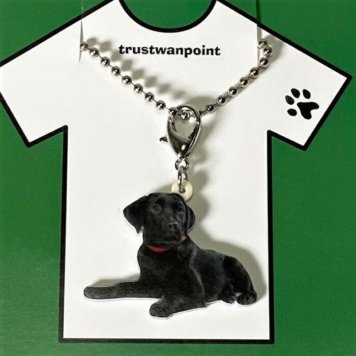 ラブラドールレトリバー ブラックラブ ラブラドールレトリーバーグッズ バッグチェーン マスクチャーム アクリル 犬 いぬ イヌ Dog 犬種別 犬雑貨 かわいい 輸入 Key 2101 054 犬と動物 トラストワンポイント 通販 Yahoo ショッピング