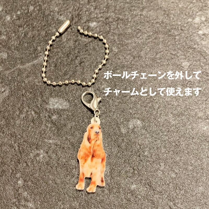 チワワスムース チワワグッズ バッグチェーン マスクチャーム アクリル