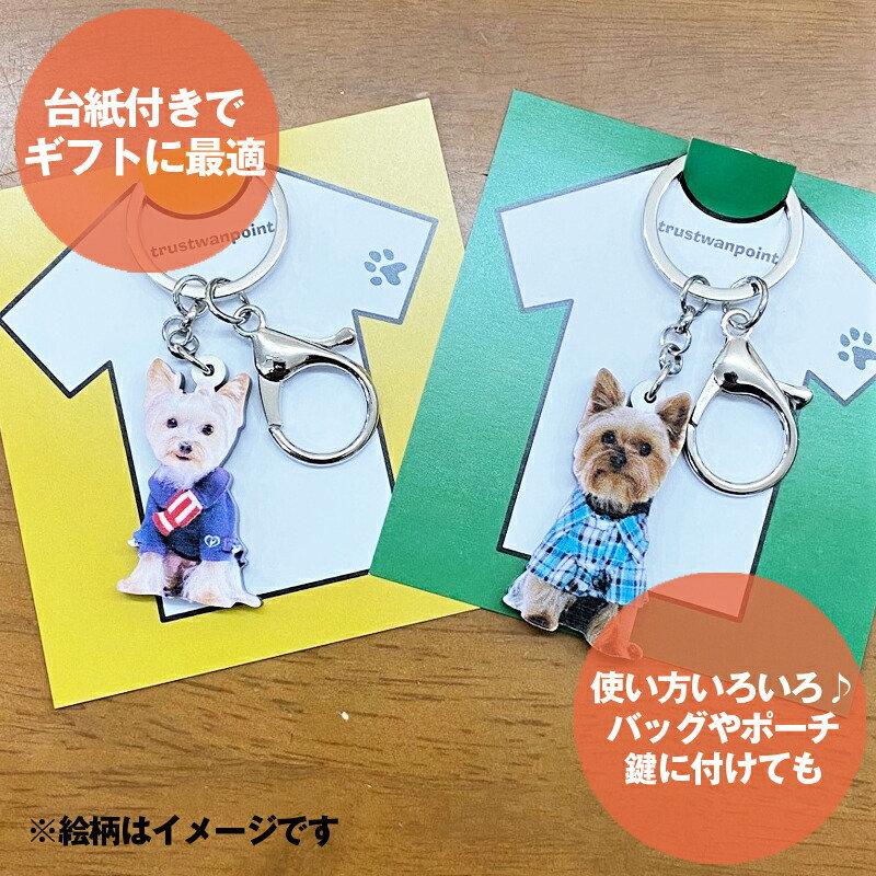キーホルダー アライグマ ラクーン アニマルグッズ アクリル