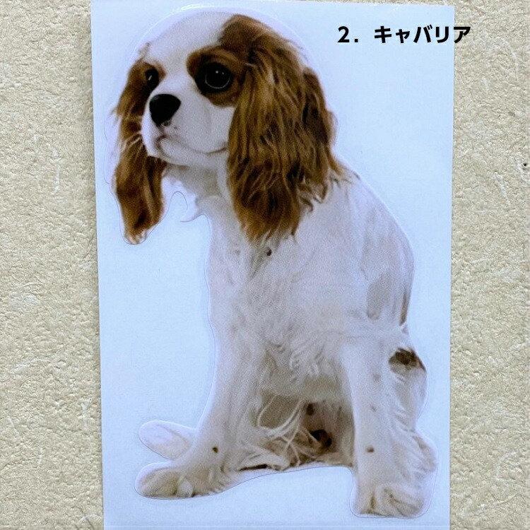 キャバリア 犬 シルエット 車 Sサイズ ペット 名入れ 名前 オーダー ネーム ステッカー かわいい