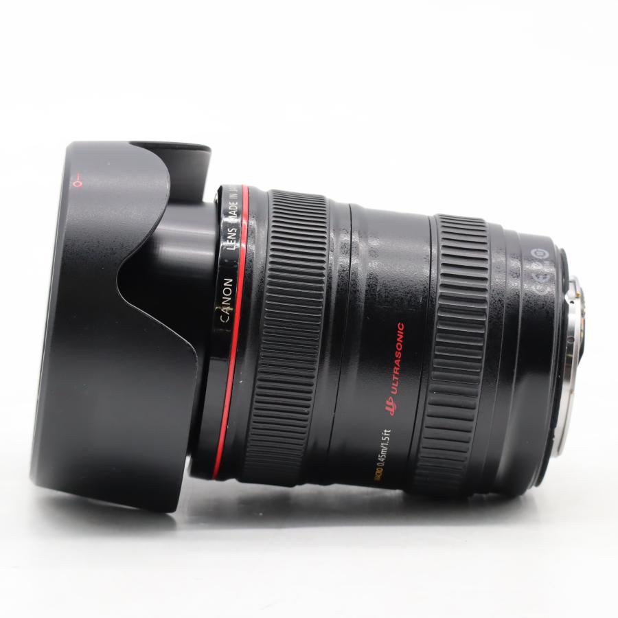 Canon EFレンズ EF24-105mm F4L IS USM ズームレンズ 標準 #4963