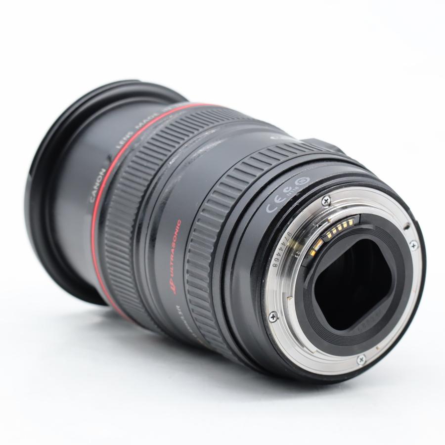 Canon EFレンズ EF24-105mm F4L IS USM ズームレンズ 標準 #4963