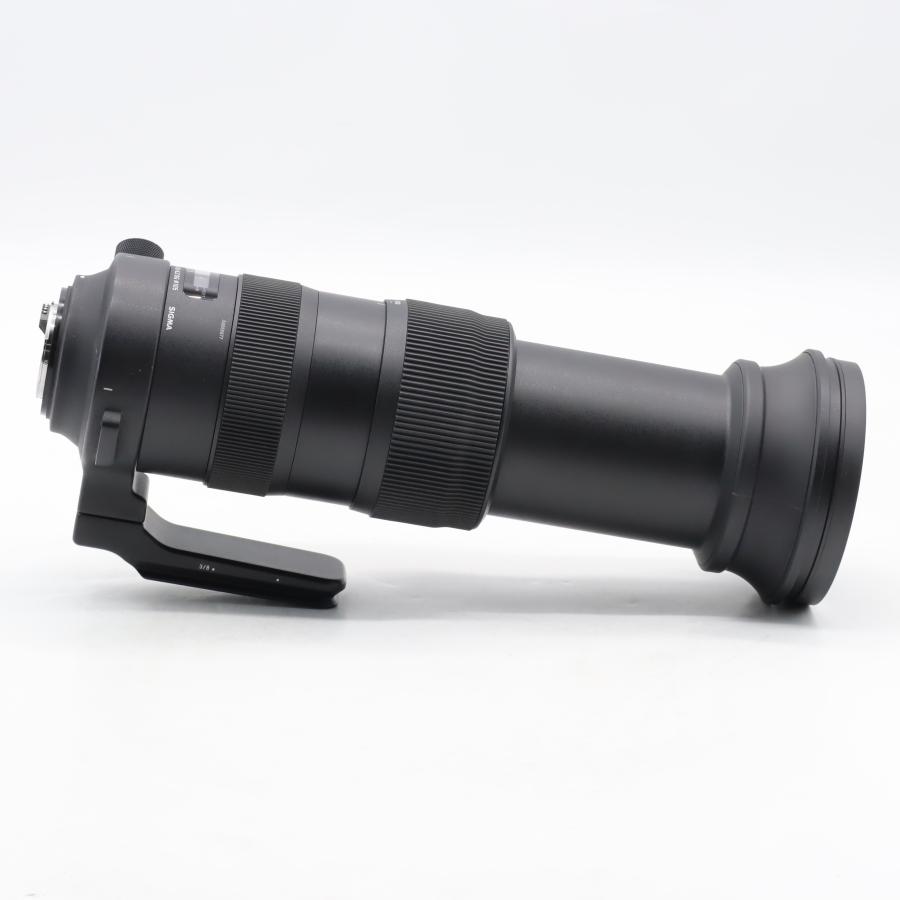 シグマ(Sigma) SIGMA シグマ Nikon Fマウント レンズ 60-600mm F4.5-6.3 DG OS HSM ズーム 望遠 フルサイズ Sports 一眼レフ 専用 #5050の画像