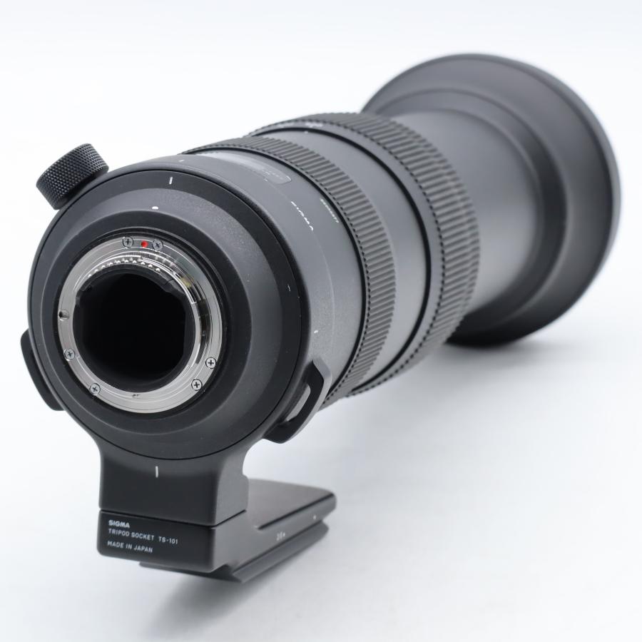 シグマ(Sigma) SIGMA シグマ Nikon Fマウント レンズ 60-600mm F4.5-6.3 DG OS HSM ズーム 望遠 フルサイズ Sports 一眼レフ 専用 #5050の画像