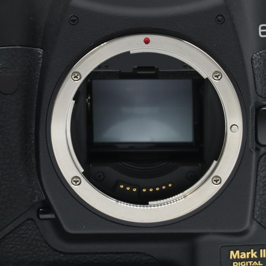 ショット数16018回 Canon デジタル一眼レフカメラ EOS-1Ds Mark II ボディ |  | 08